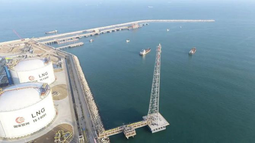 1673415771917863.png 500.png